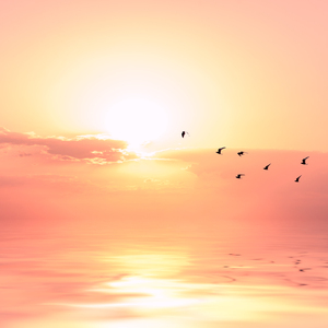 公翁太涨公欲息肉婷在直播
